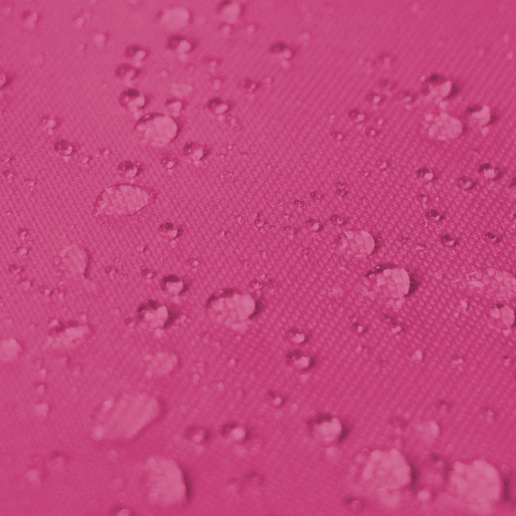 Vankúš Rose-40x40 cm