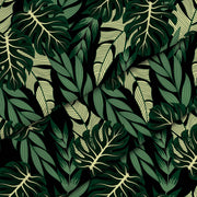 Tmavozelená Monstera