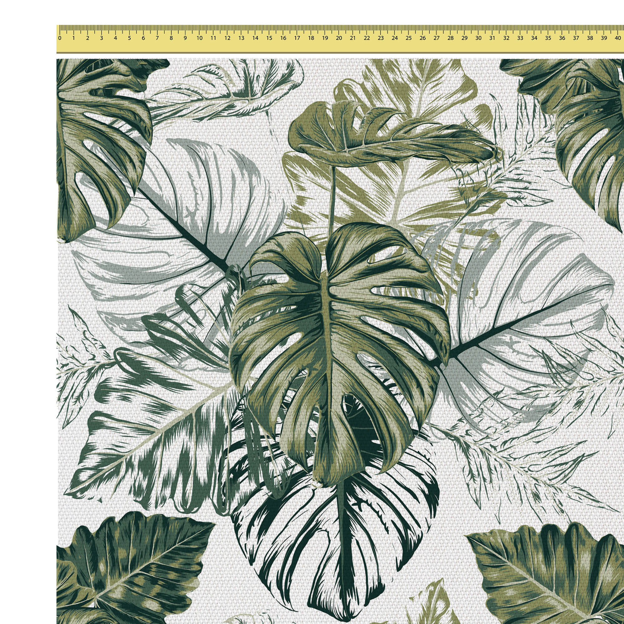 Monstera Green Leaf