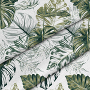 Monstera Green Leaf