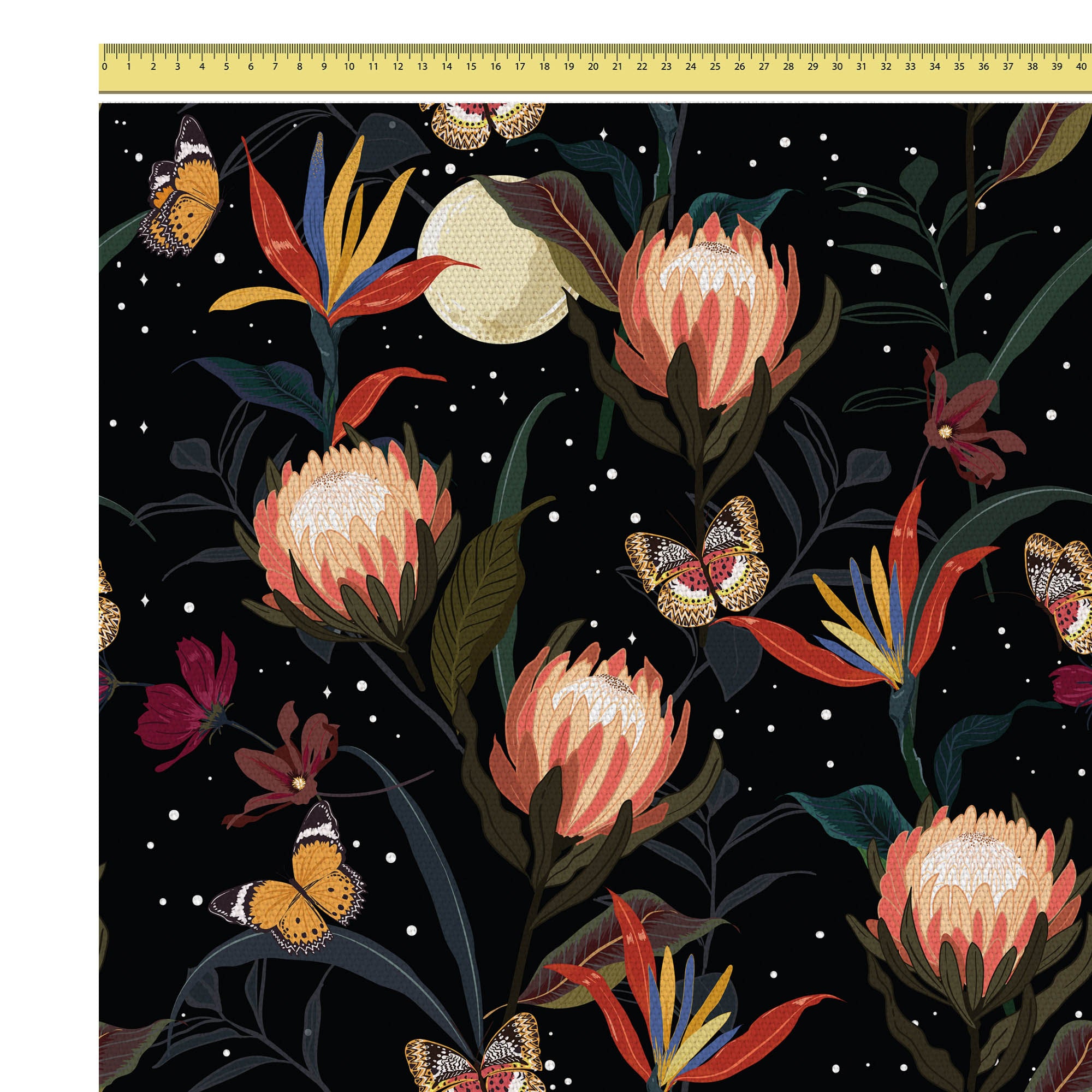Protea Kvety