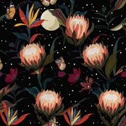 Protea Kvety