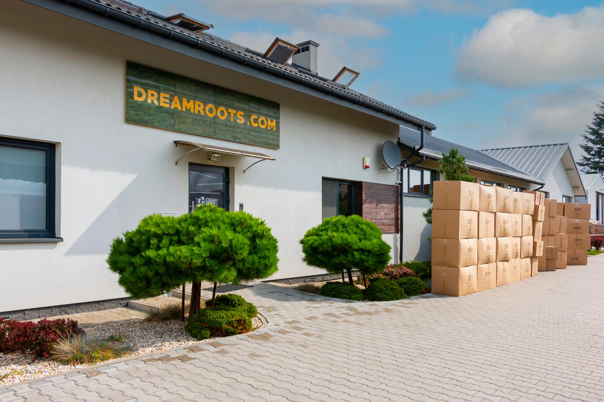 DreamRoots