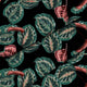 Červená tropická Maranta-Obrusová tkanina