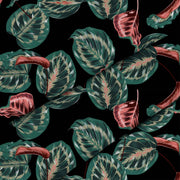 Red Tropical Maranta-Oxford