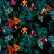 Dark Botanic Red-Panama