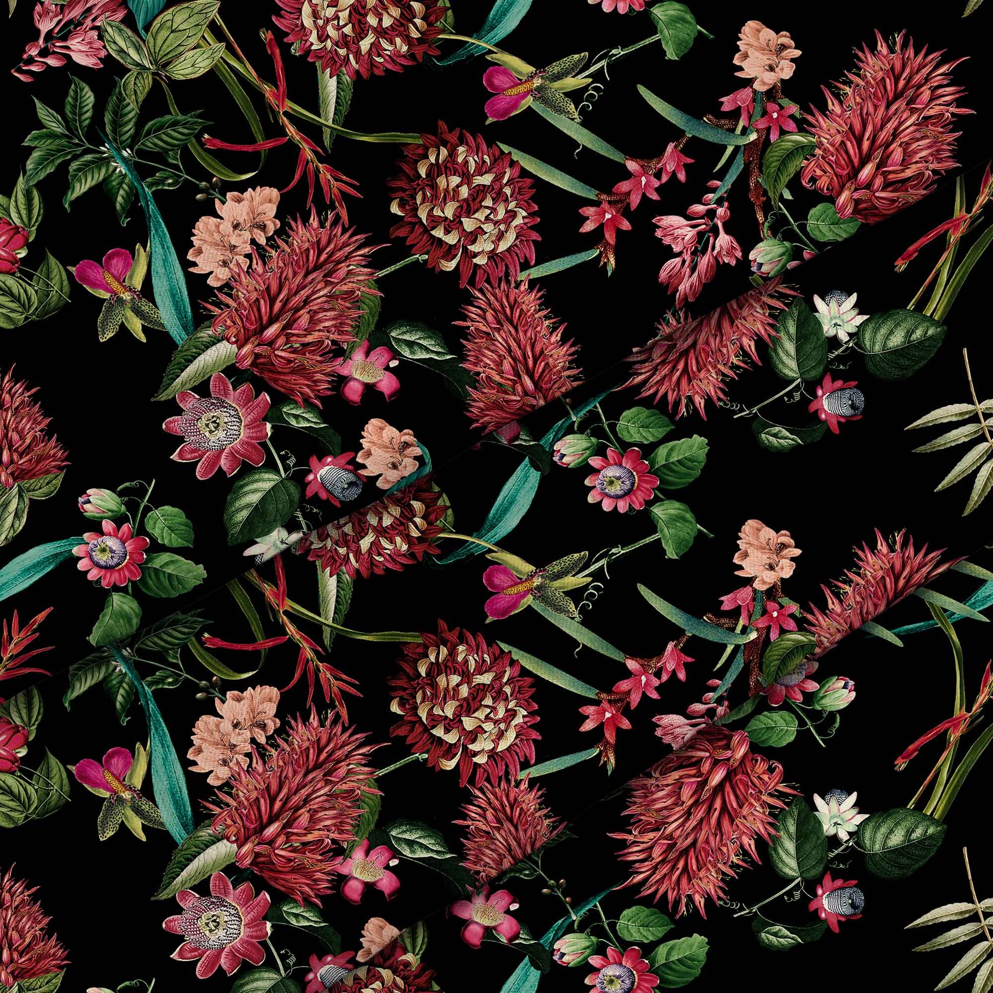 Dark Jungle Red-Oxford