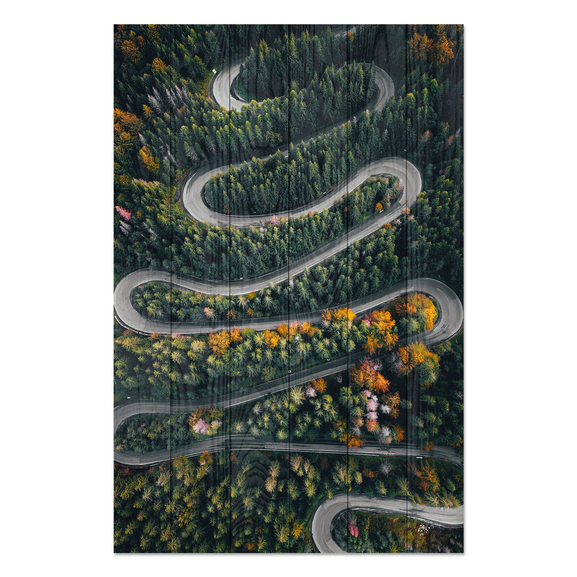 Obraz Wood Kľukatá cesta cez les-40x60 cm