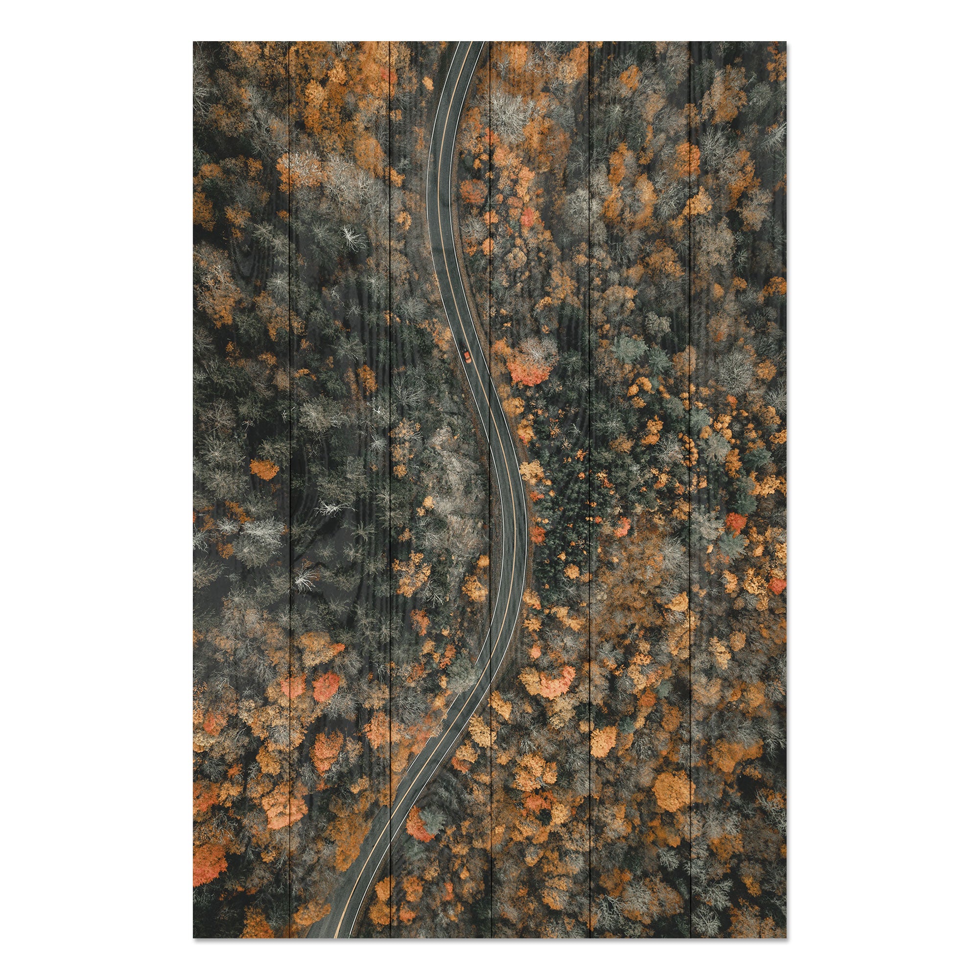 Obraz Wood Kľukatá cesta-20x30 cm