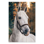 Obraz Wood White Horse-20x30 cm