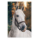 Obraz Wood White Horse-30x40 cm