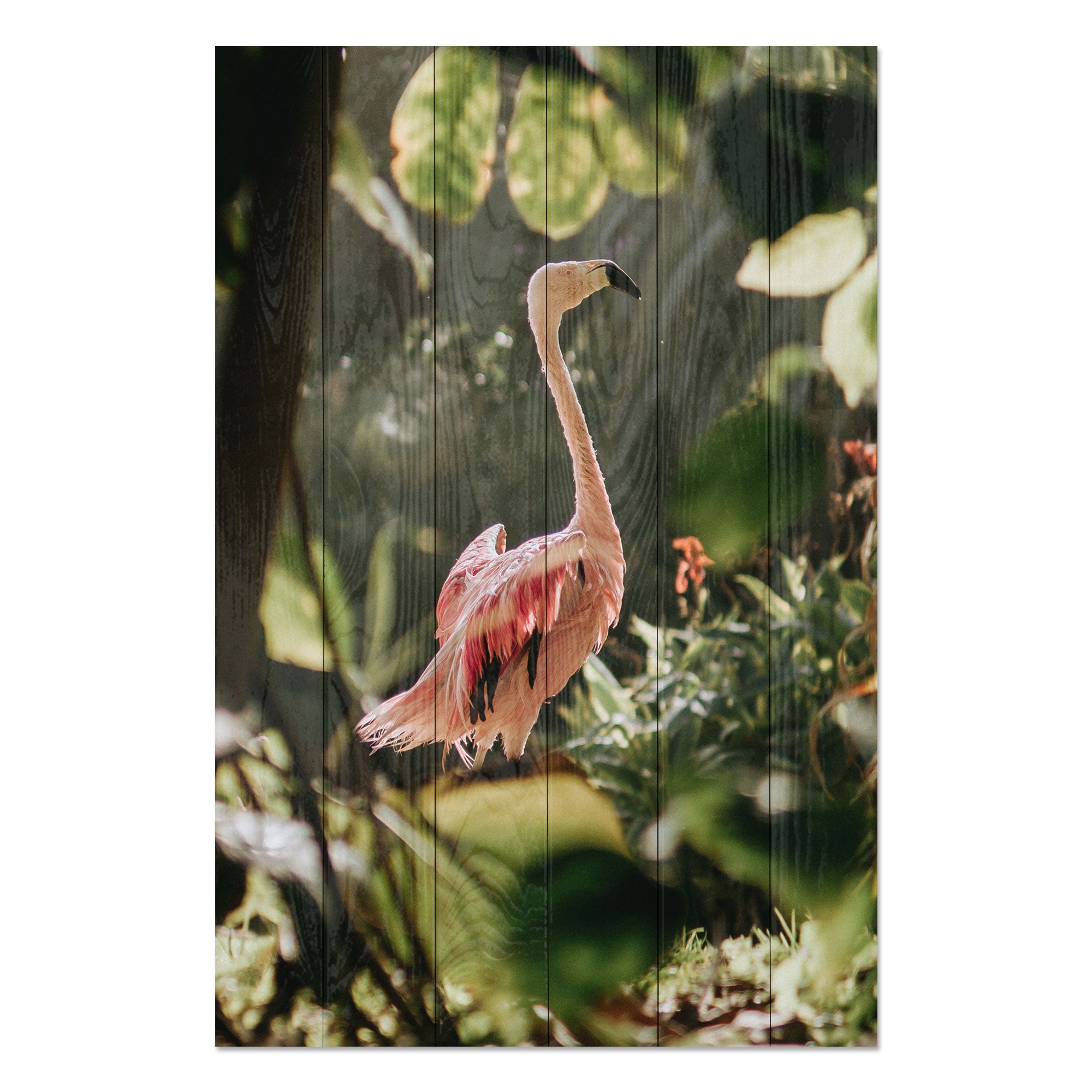 Obraz Wood Tropical Flamingo-50x70 cm