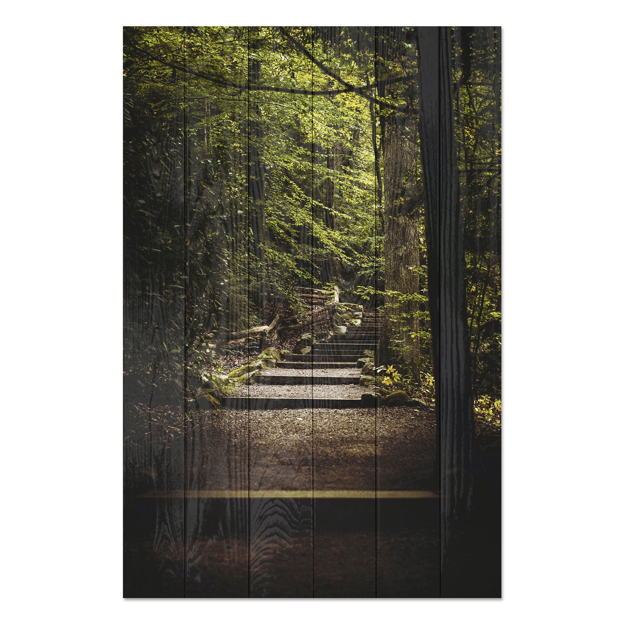 Obraz Wood Schody v lese-30x40 cm
