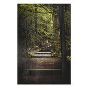 Obraz Wood Schody v lese-40x60 cm
