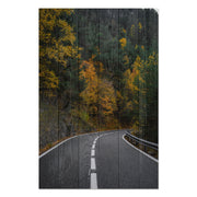 Bild Holz Straße durch den Wald-30x40 cm