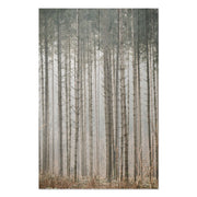Obraz Wood Tajomný les-50x70 cm