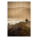Obraz Wood Pštros na Pobreží-40x60 cm