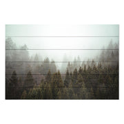 Wood Picture Misty Coniferous Forest-30x40 cm