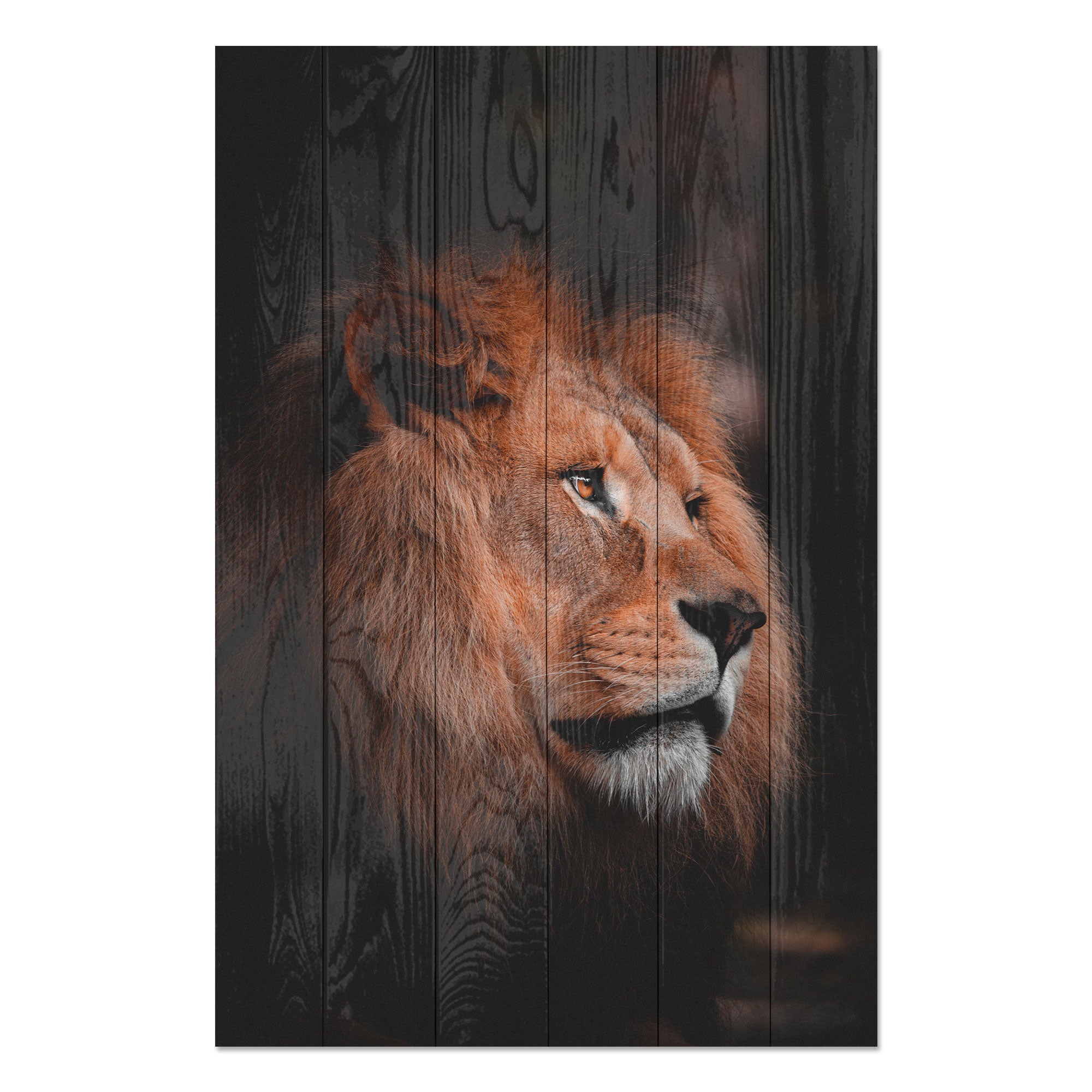 Obraz Wood Profil Leva-70x90 cm