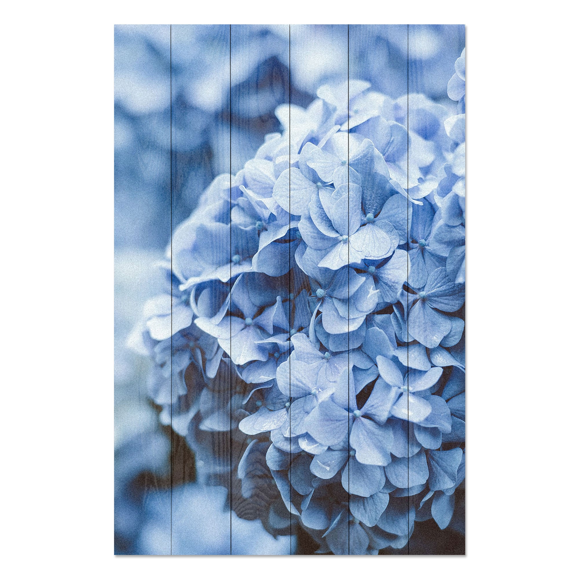 Obraz Wood Hydrangea-30x40 cm