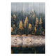 Wood Foggy Forest Painting-30x30 cm