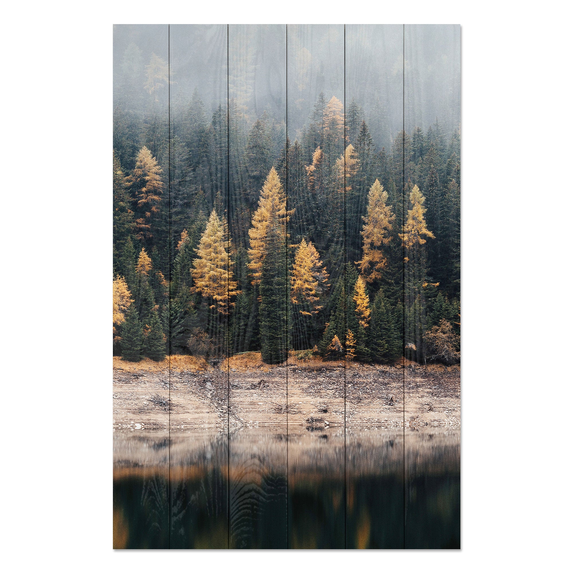 Obraz Wood Hmlistý les