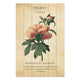 Wood Picture Peony Flower-60x90 cm