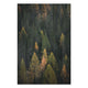 Obraz Wood Coniferous Forest-50x70 cm