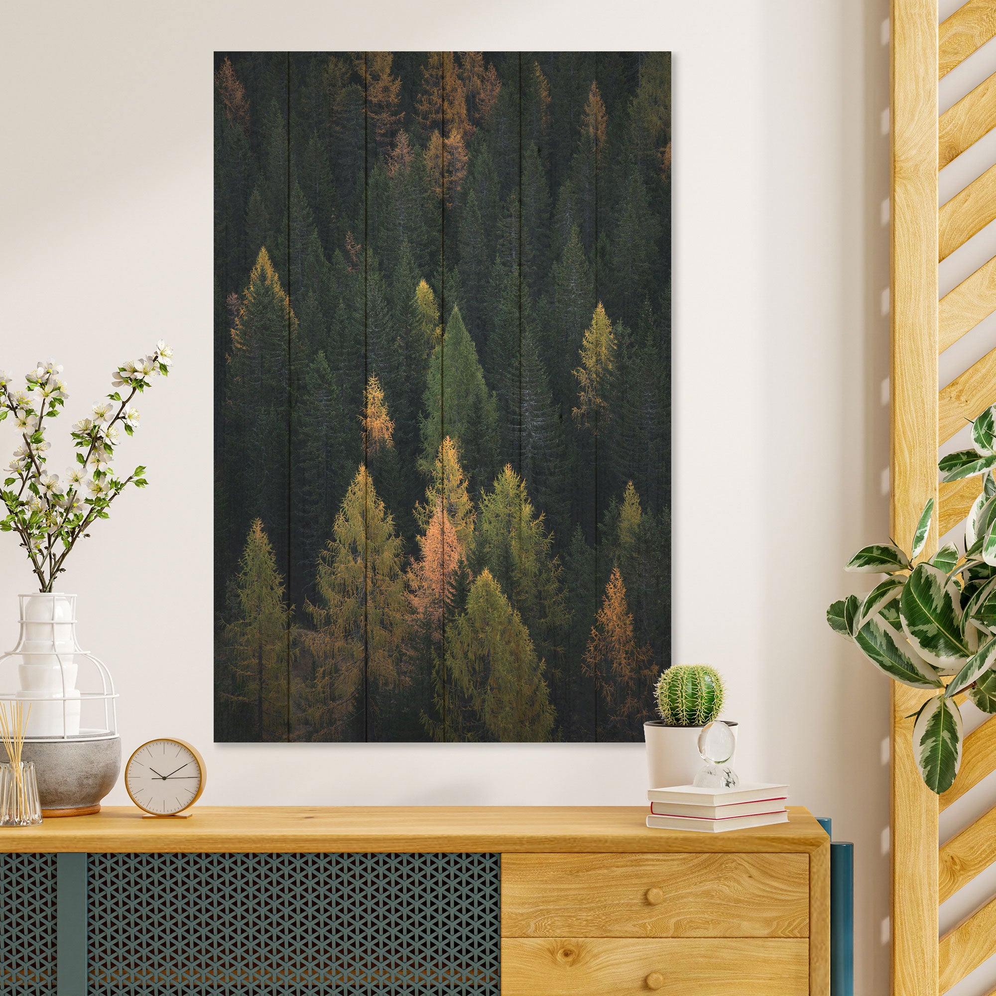Obraz Wood Coniferous Forest-20x30 cm