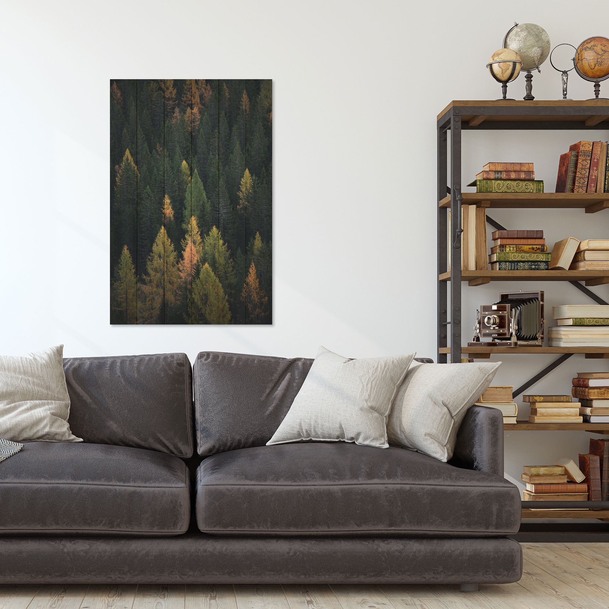 Obraz Wood Coniferous Forest-20x30 cm