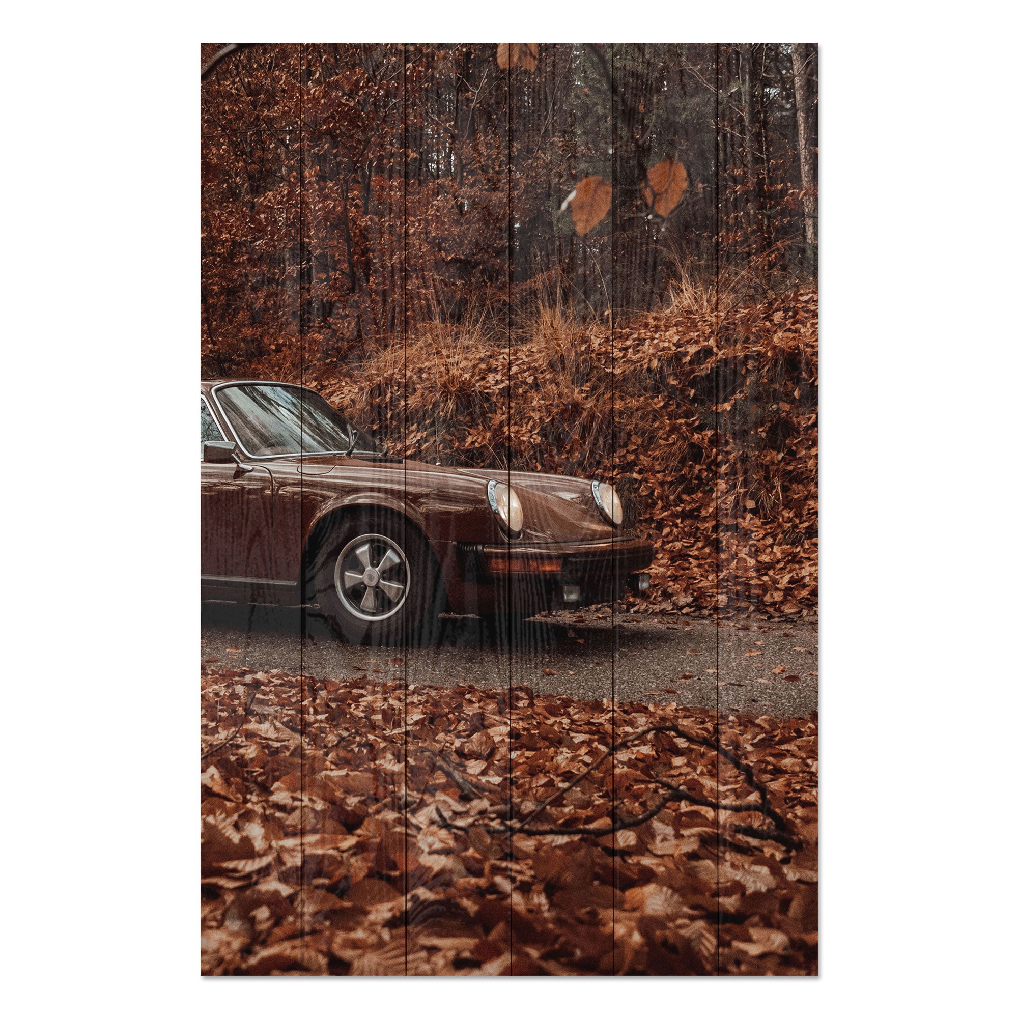 Obraz Wood Field Brown