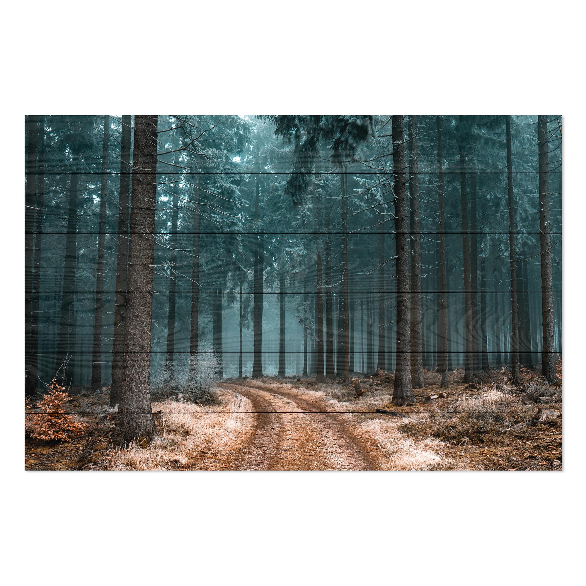 Wood Picture Path in the Forest-40x60 cm