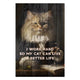 Obraz Wood I work hard so my Cat can live a better life-50x70 cm