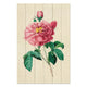 Obraz Wood Vintage Ružové kvety-70x90 cm
