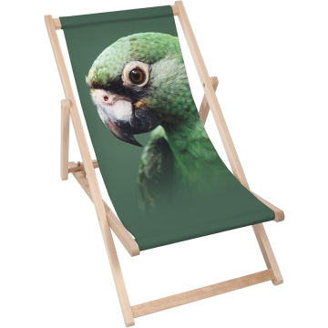 Drevené plážové lehátko Green Parrot