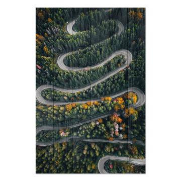 Obraz na dreve Winding Road throught the Forest