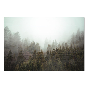 Obraz na dreve Misty Coniferous Forest
