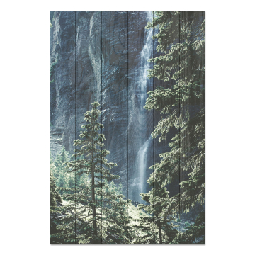 Obraz na dreve Forest Waterfall