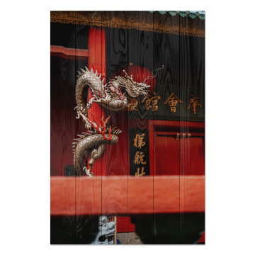 Obraz na dreve China Dragon