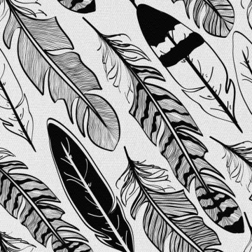 Látka Black and White Feathers