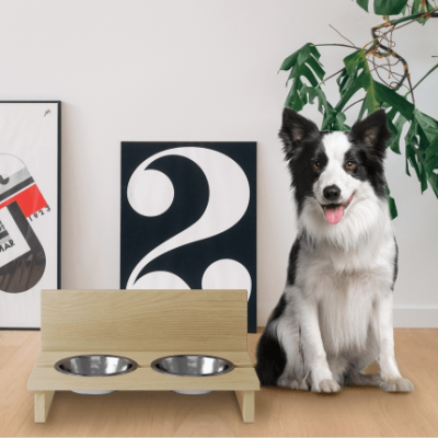 Výbava pre šteniatko a mačiatko